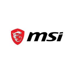 MSI